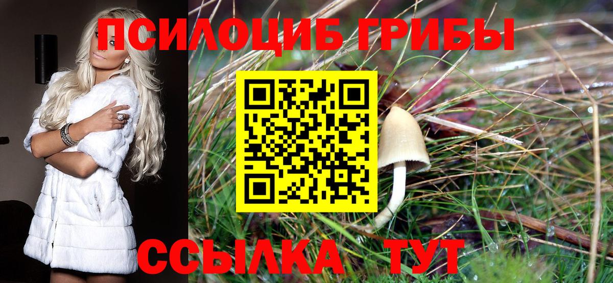 Псилоцибиновые грибы прущие грибы  Галлюциногенные грибы ЛСД  Кисловодск  Вход с VPN 